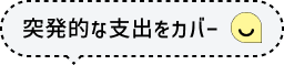 突発的な支出をカバー